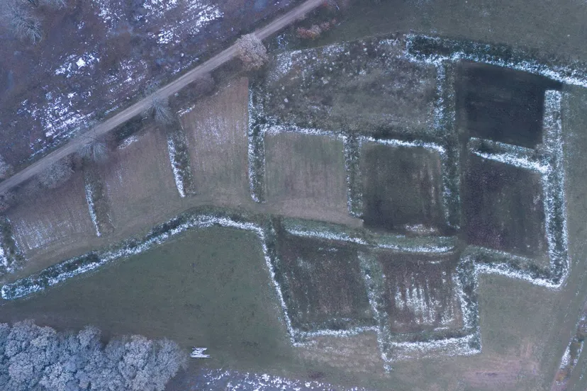 Raatakkers Mander, Vincent Croce