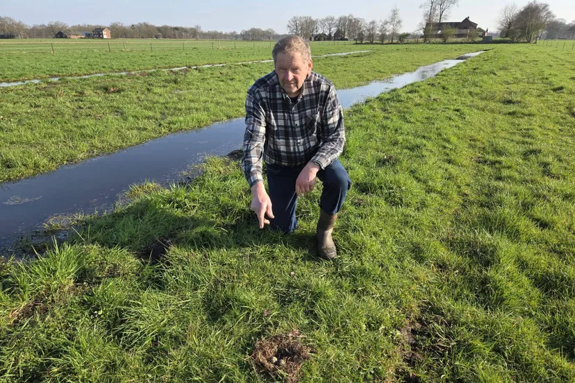 7d4b2476-5cff-452f-836f-ce68df8ff2f9