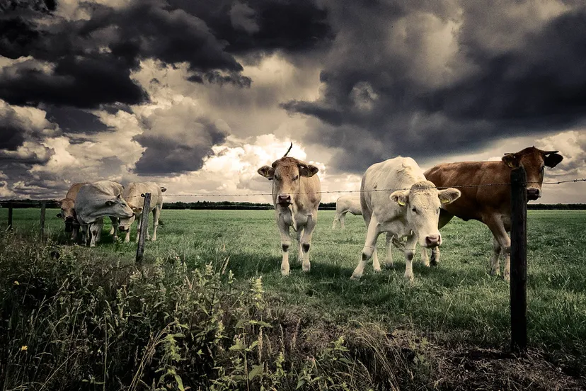 2020_26_juli_zonnenbergweg_P1140118-3