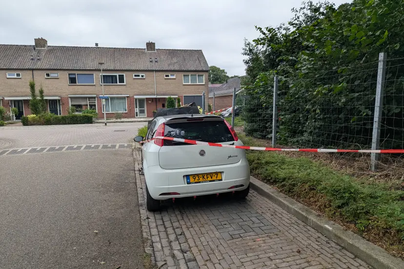 PXL_20260726_064244206
