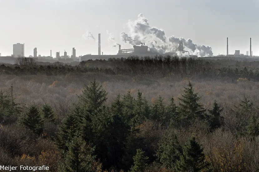 12362895 1143572612321356 7922233427441683455 o 1