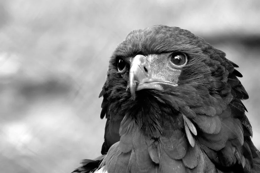 1655770 10203450247922915 1845826342585009065 o