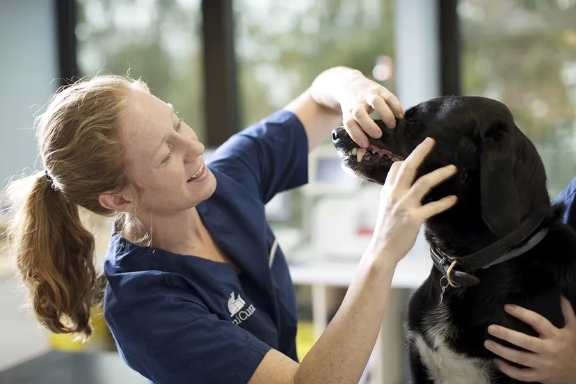 1811 33b048368c13f10060955906b4cdab0d