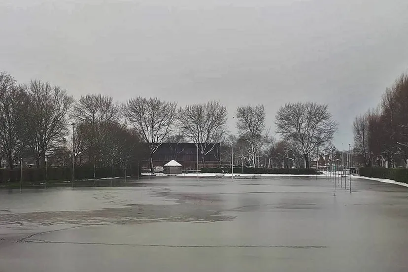 25188971 2003229293285948 9198533292135098582 o