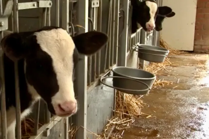 2cb2cb80 344d 4578 a096 cb495e8f2205