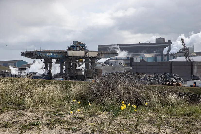 3z1a0255 harsco lente wim meijer fotografie