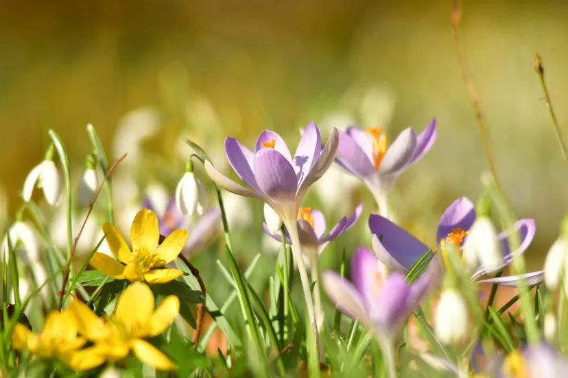 52602543 392593134649955 4396633548467994624 n