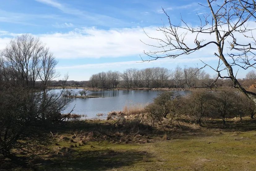 53453791 1235114599960427 2167021342560354304 n