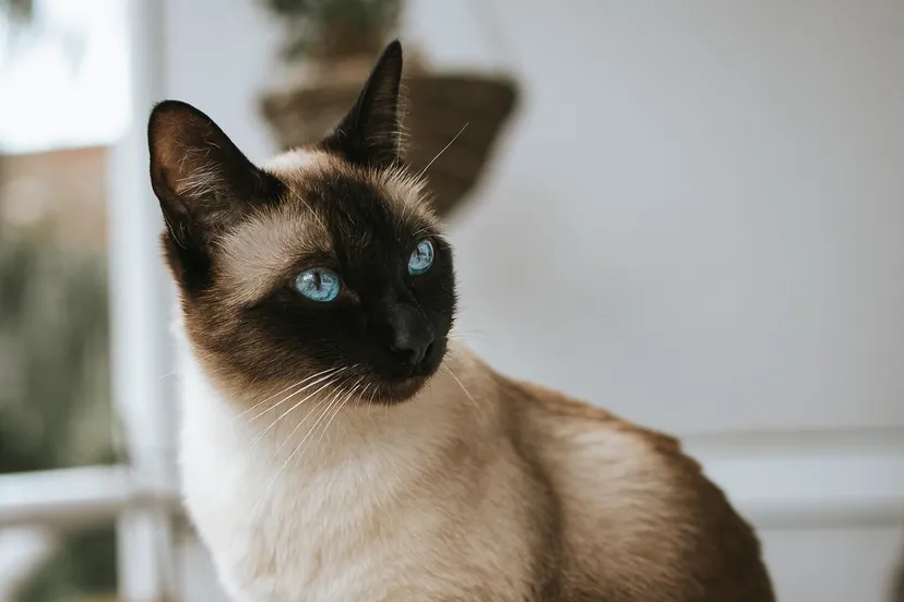 alex meier kgiqfgf7dkc unsplash