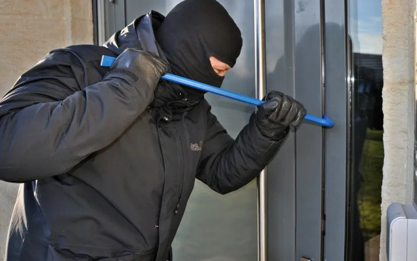 burglar 3718381 1920 915x518