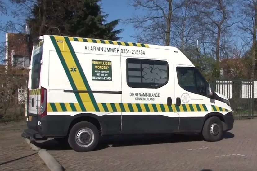 dierenambulance ijmond nieuws