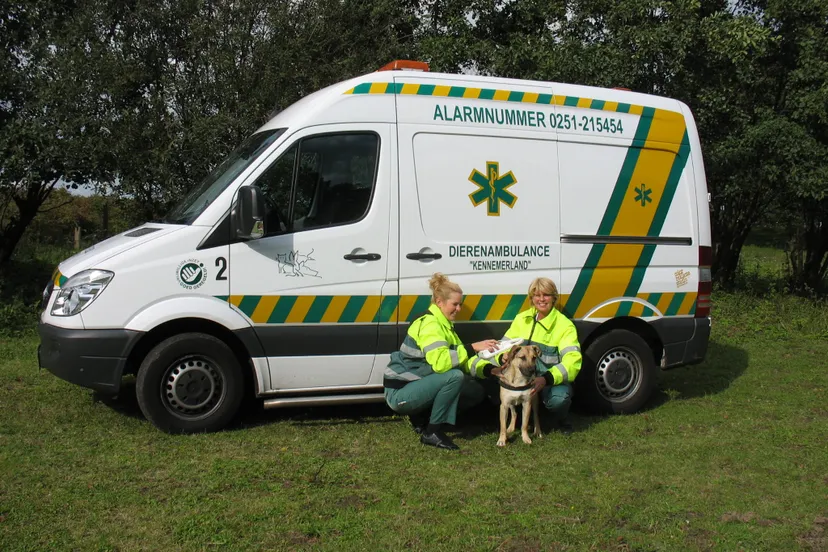 dierenambulance kennemerland 3