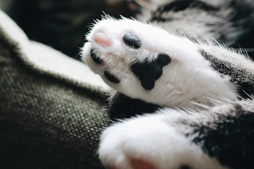 erik jan leusink gr1uyhbfkd4 unsplash