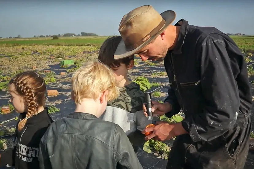 foodcare ijmond nieuws