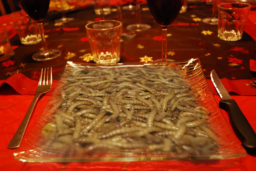 insecten dinner pixabay