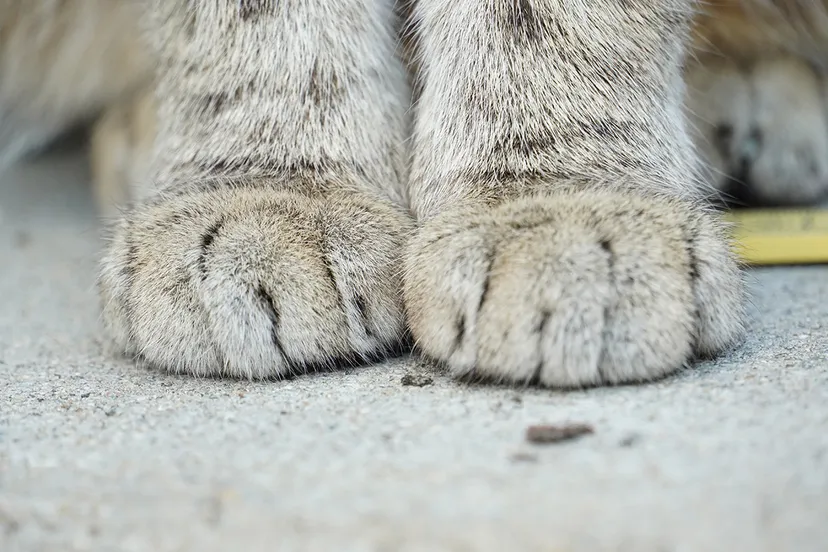 luba ertel d1 hwzgvdaa unsplash kopieren