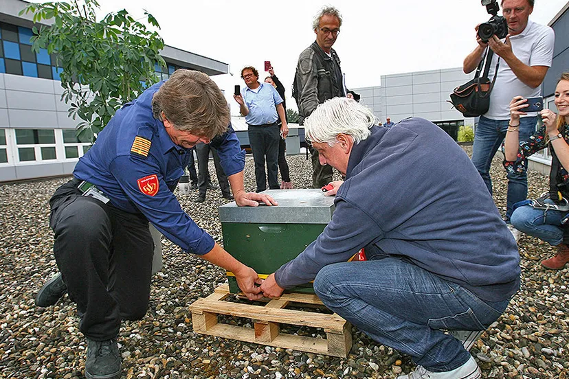 persfoto vrk bijen 02