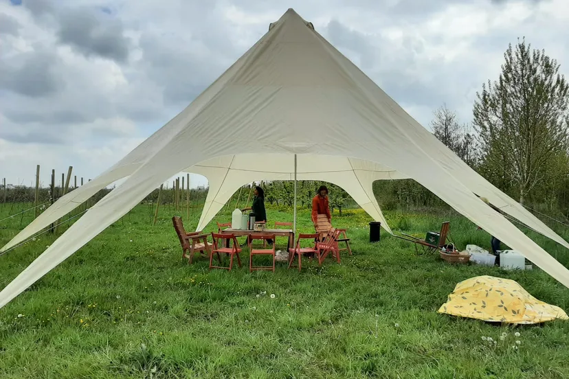 photo 2021 07 16 15 42 44