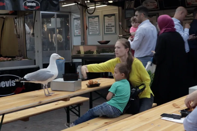 schermafbeelding 2019 08 02 om 121247