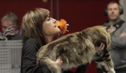 schermafbeelding 2019 10 09 om 125941