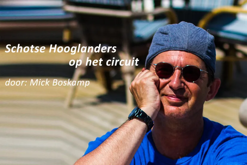 schotse hooglanders op het circuit