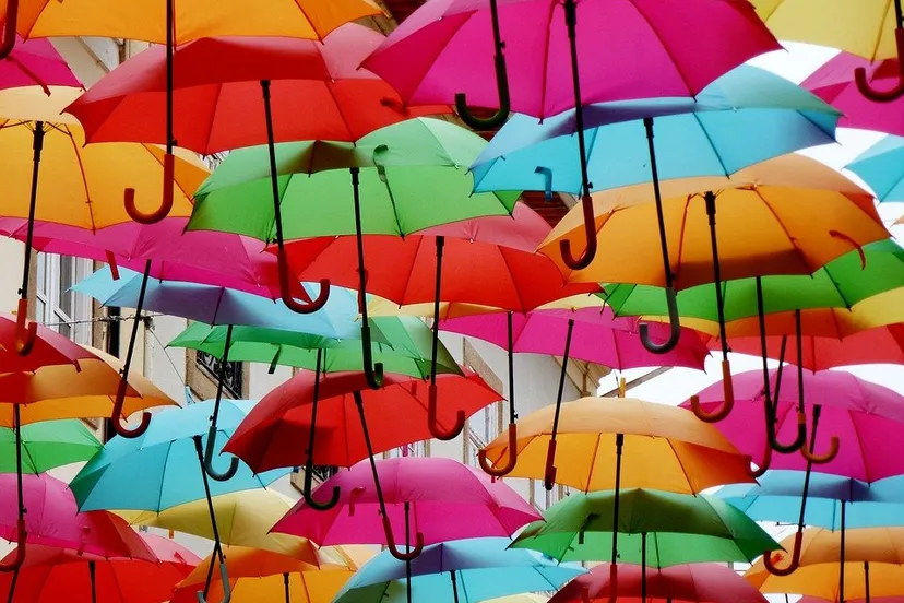 shade tree colorful umbrella umbrellas colorful 2780390