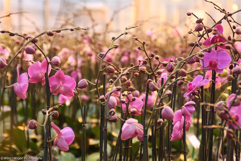 tumblr ms19htyvbf1svvyvco5 1280