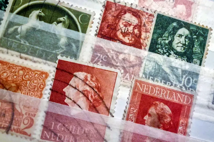 whatsapp image 2023 12 27 at 202324 4 kopieren