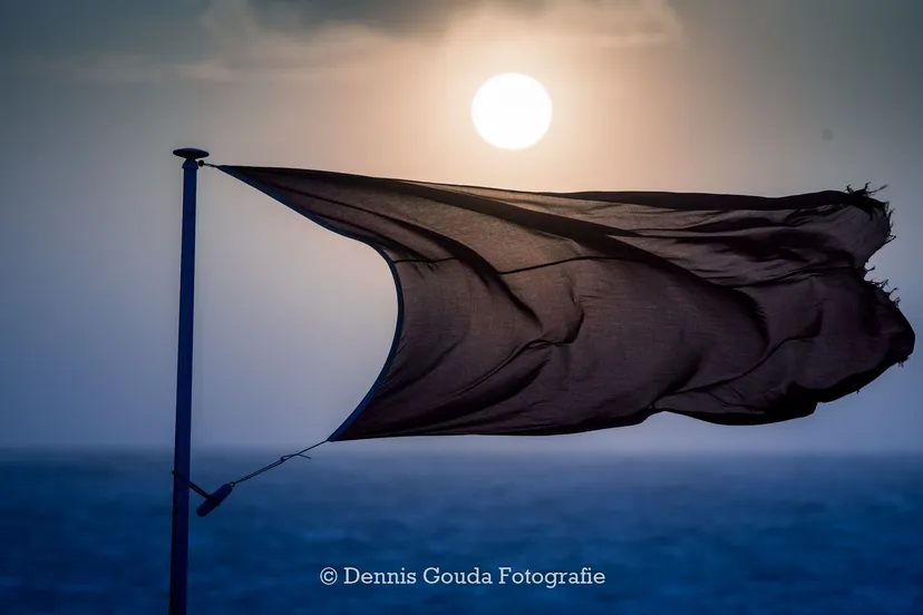 68418271 115371743141519 5936521259868225536 n