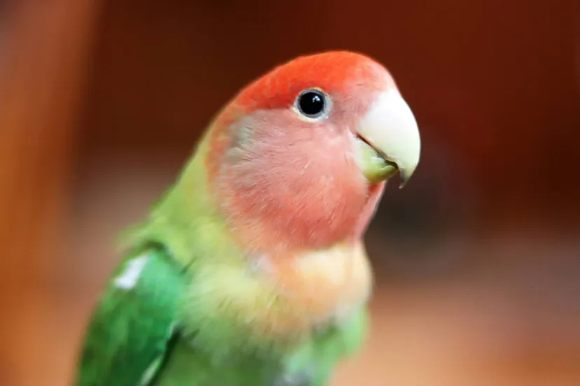 carolina de leon apye31lxsnk unsplash 1