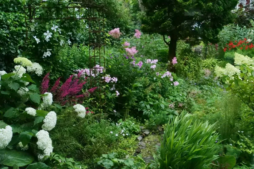 2025 Afbeelding tuin Tineke en Adri Out juli (1)