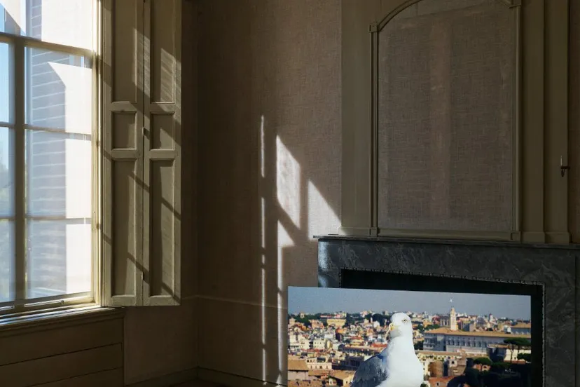 001centraal museum marijke van warmerdam 2022 phgj vanrooij a