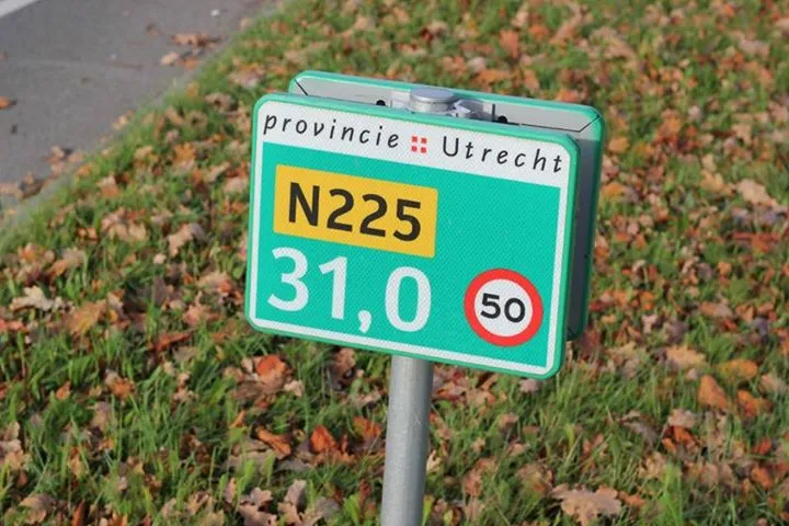 11063857 658428144287757 8299423065299044782 n