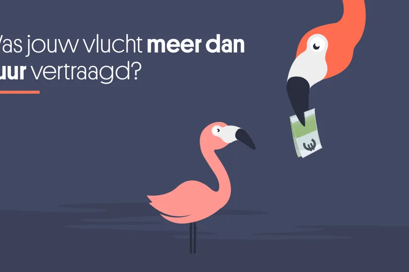 15392904 664256057068962 8901731462815427778 o