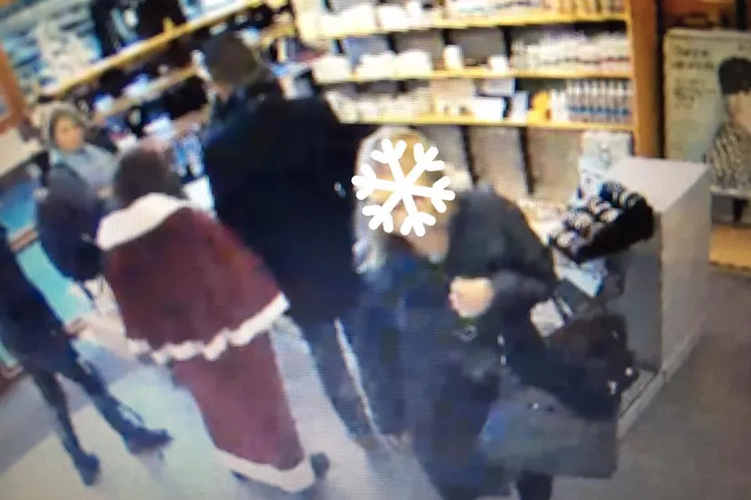 15621595 1286637354736288 2229114418033493968 n