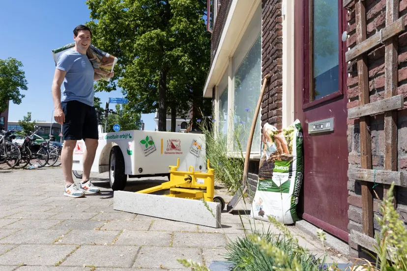 20210601 groen geveltuintjes iepen 30cm 35