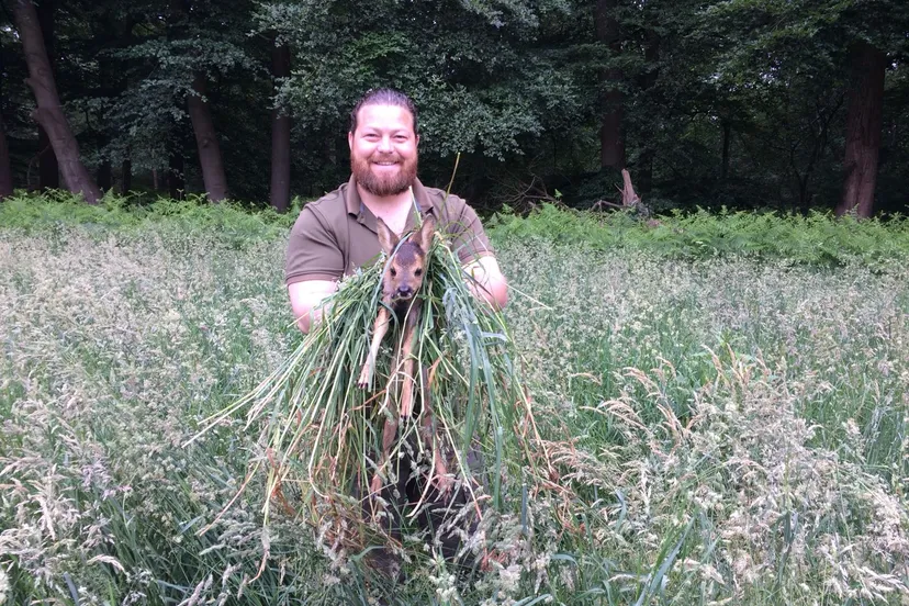 3 rolf dijkstra met reekalfje