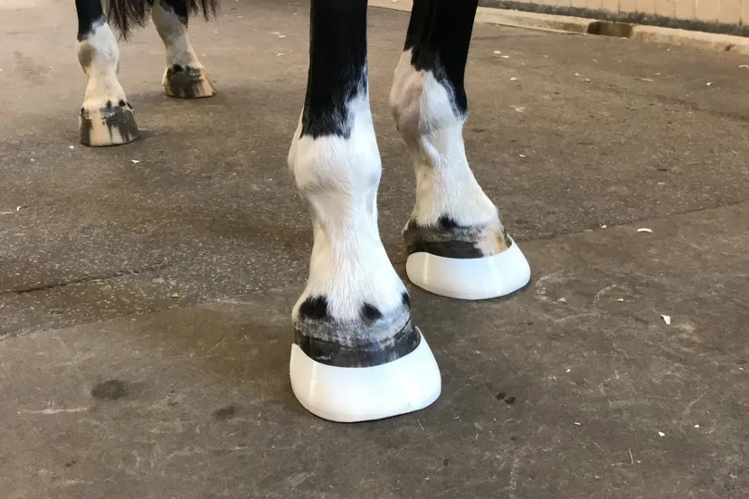 3d geprint hoefbeslag