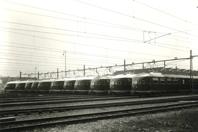 52738411423 efc869b8fc k