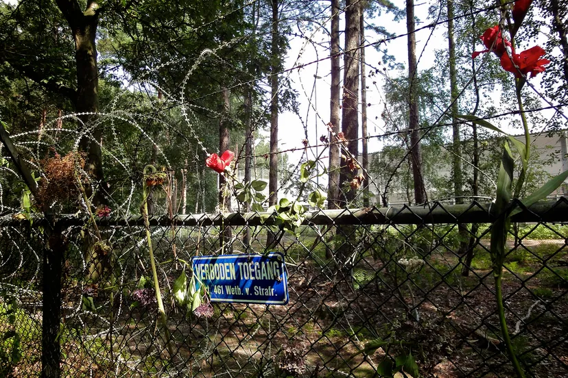 5426061120 3c200bc159 b