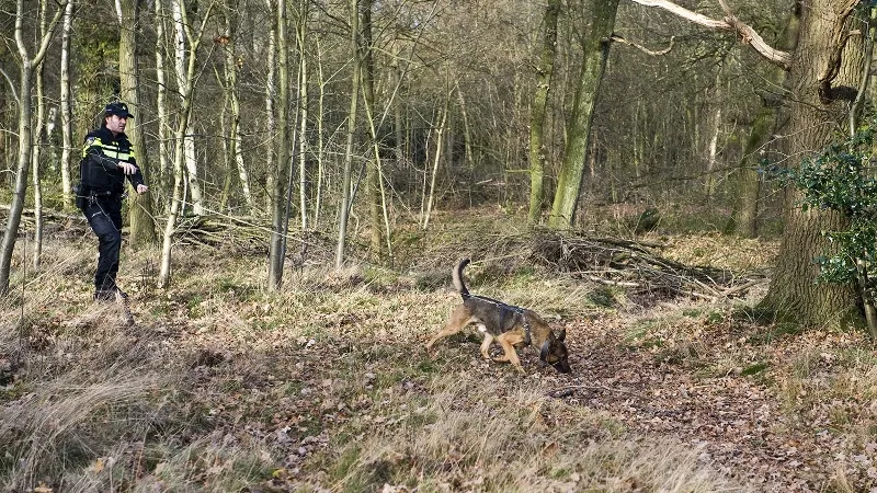 agent loopt met diensthond in bosgebied