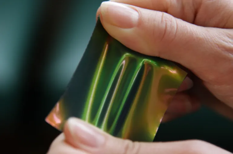 beta publicatie petukhov