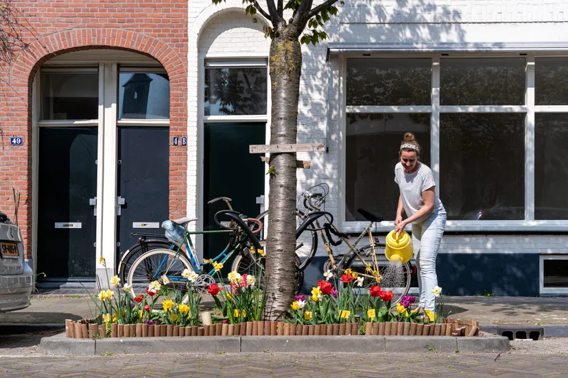 boomspiegel thomas duiker dyve media scaled 1