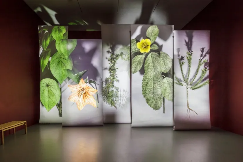 broersen en lukacs door eddo hartmann