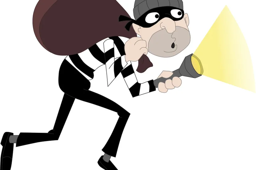 burglar 4925202 1920