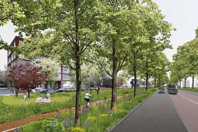 busbaan van zijsterweg