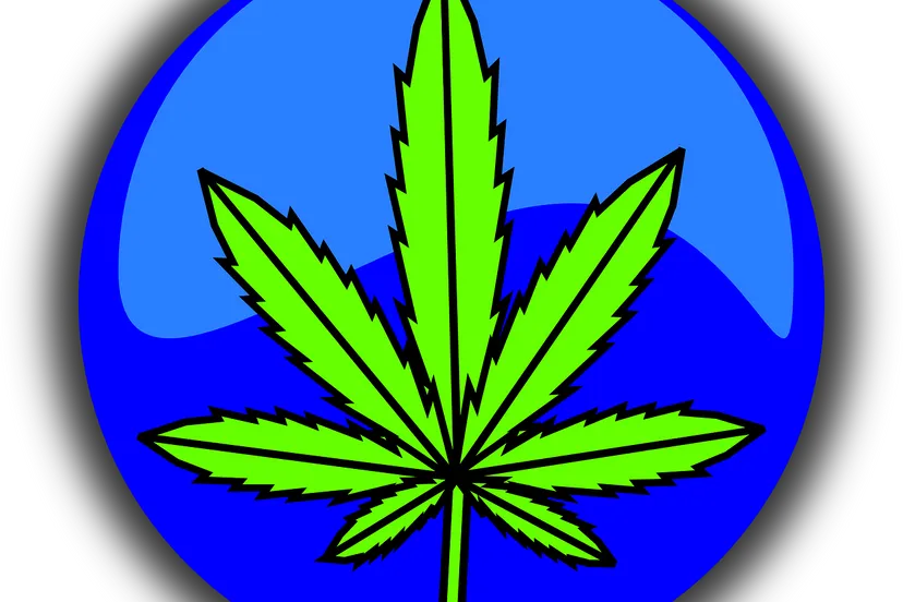 cannabis 490775 1280