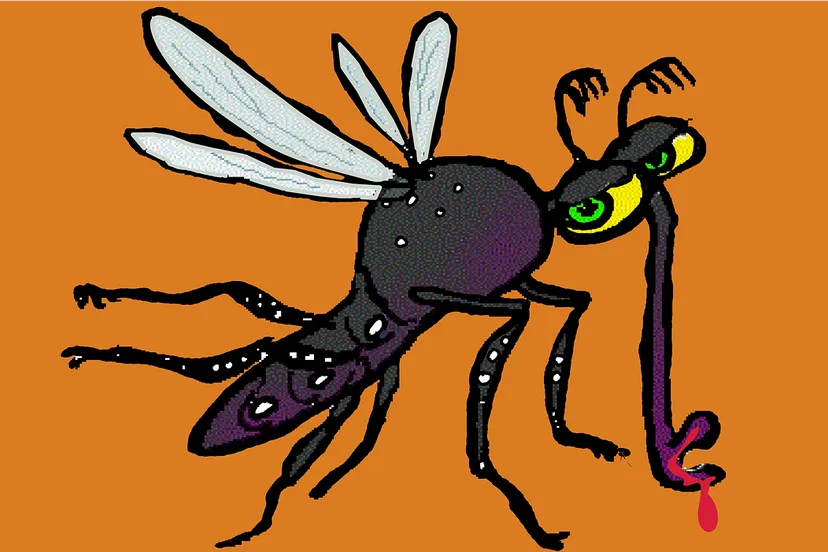 dengue fever 1151682 1280