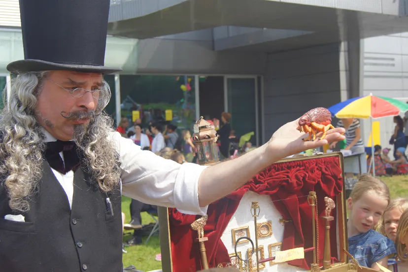 dr qs magistrale vlooiencircus