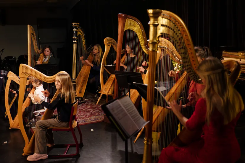 dums harpjorislouwes2022